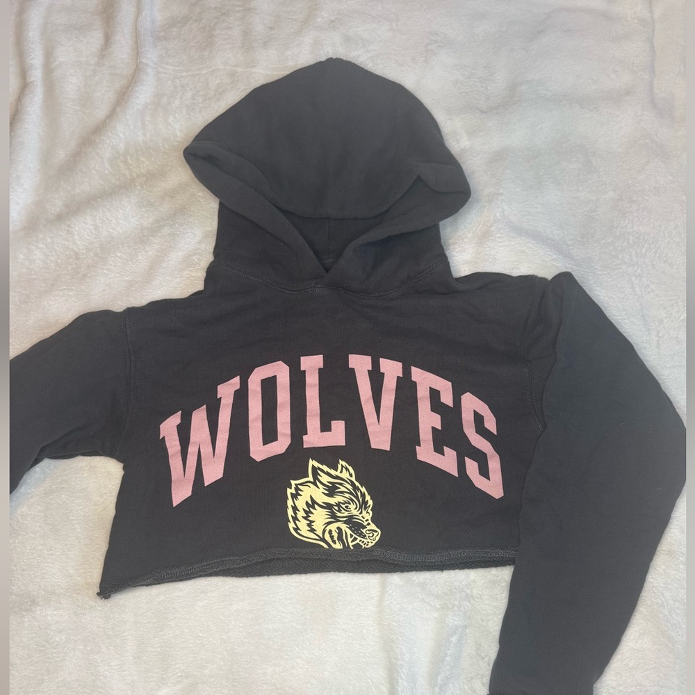 Darc Sport Black Hoodie with Pink and Yellow Wolves Design